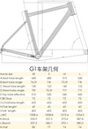 LAGET G1 Titanium Gravel Frameset